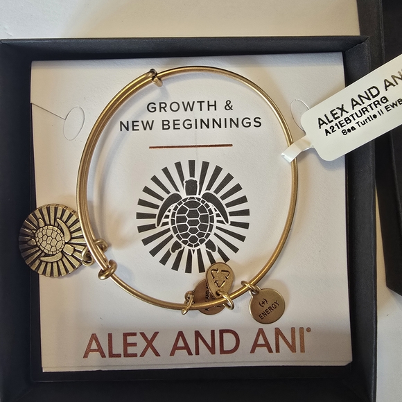 Alex and Ani Turtle Bangle Bracelet - Picture 1 of 2